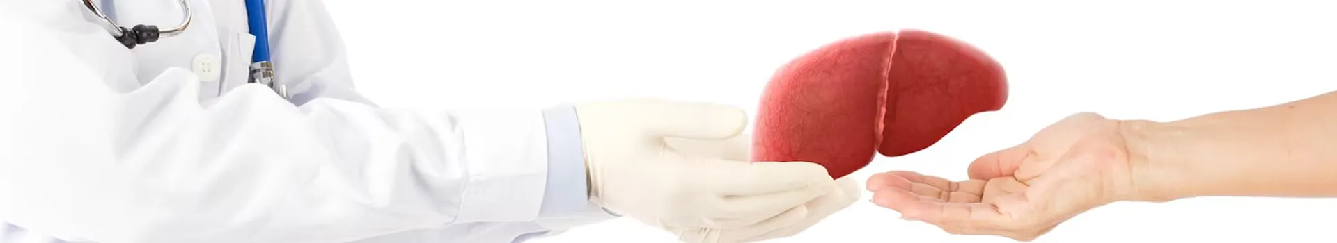 Pancreatic Cancer - A type of cancer that begins in the pancreas, often hard to detect early.